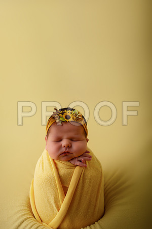 Kansas City Newborn Photographer | Award-Winning Baby Portraits