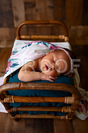 Kansas City Newborn Photographer | Award-Winning Baby Portraits