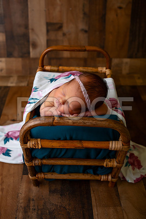 Kansas City Newborn Photographer | Award-Winning Baby Portraits