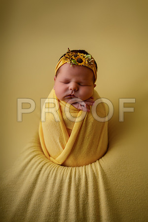Kansas City Newborn Photographer | Award-Winning Baby Portraits