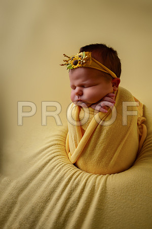 Kansas City Newborn Photographer | Award-Winning Baby Portraits