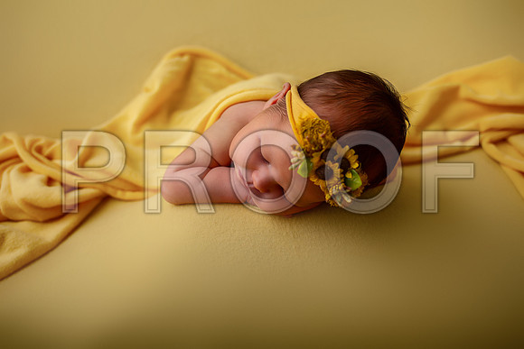 Kansas City Newborn Photographer | Award-Winning Baby Portraits
