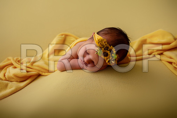 Kansas City Newborn Photographer | Award-Winning Baby Portraits