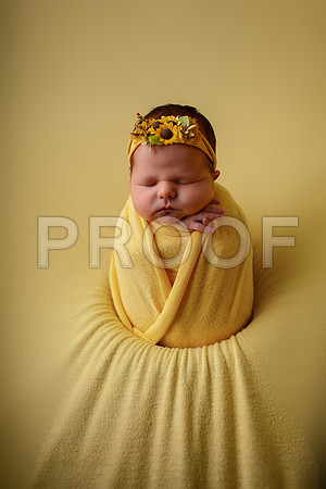 Kansas City Newborn Photographer | Award-Winning Baby Portraits