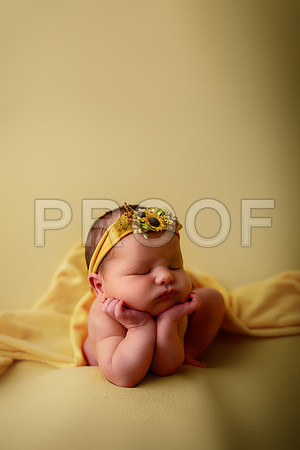 Kansas City Newborn Photographer | Award-Winning Baby Portraits