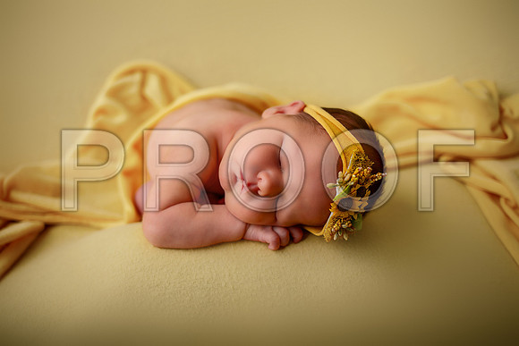 Kansas City Newborn Photographer | Award-Winning Baby Portraits