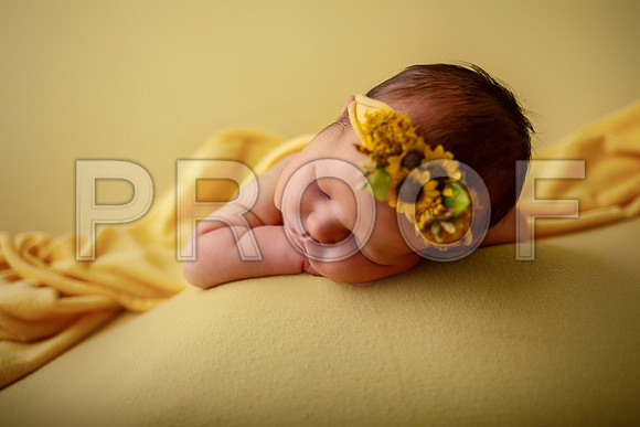 Kansas City Newborn Photographer | Award-Winning Baby Portraits