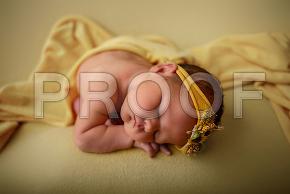 Kansas City Newborn Photographer | Award-Winning Baby Portraits