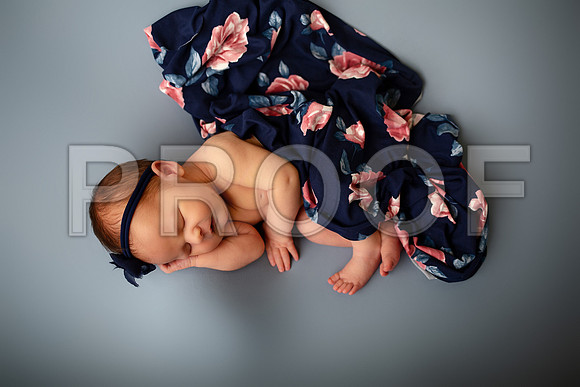 Kansas City Newborn Photographer | Award-Winning Baby Portraits