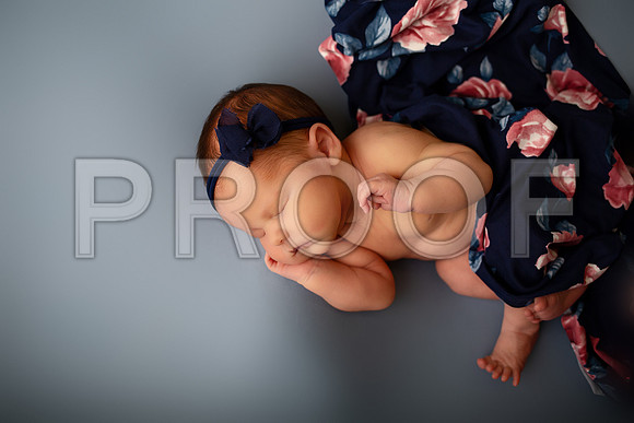 Kansas City Newborn Photographer | Award-Winning Baby Portraits