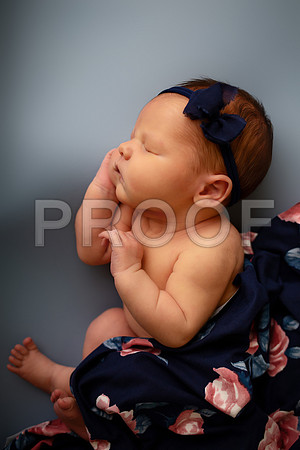 Kansas City Newborn Photographer | Award-Winning Baby Portraits