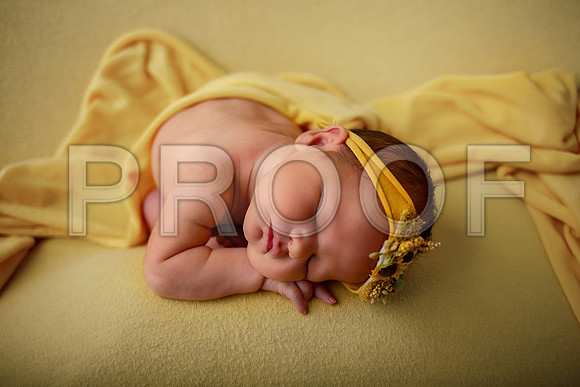 Kansas City Newborn Photographer | Award-Winning Baby Portraits