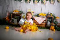 Kansas City Lemon-Themed Cake Smash Photography | Heather Sears Photography