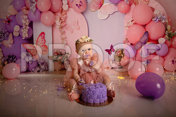 Kansas City Cake Smash Photographer | Butterfly Theme Portraits | Heather Sears Photography