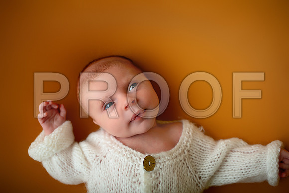 Kansas City Newborn Photographer | Award-Winning Baby Portraits