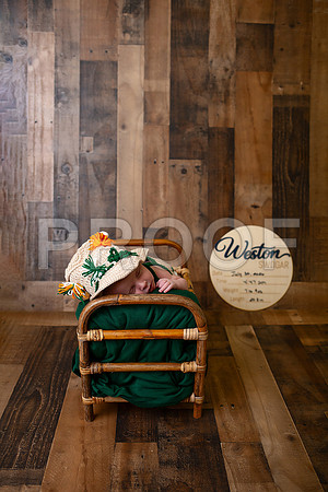 Kansas City Newborn Photographer | Award-Winning Baby Portraits