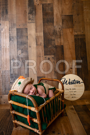 Kansas City Newborn Photographer | Award-Winning Baby Portraits