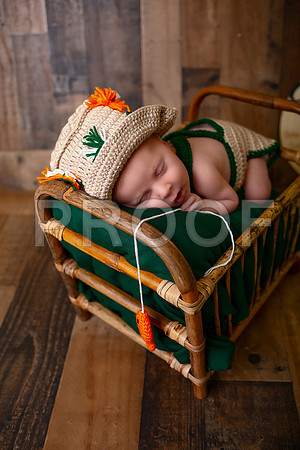 Kansas City Newborn Photographer | Award-Winning Baby Portraits