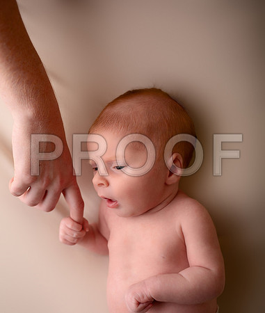 Kansas City Newborn Photographer | Award-Winning Baby Portraits