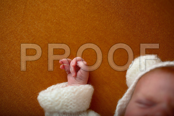 Kansas City Newborn Photographer | Award-Winning Baby Portraits