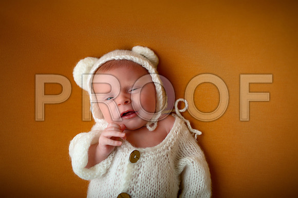 Kansas City Newborn Photographer | Award-Winning Baby Portraits