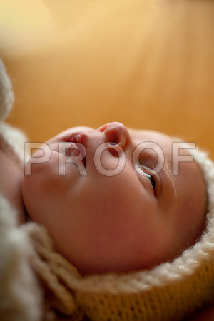 Kansas City Newborn Photographer | Award-Winning Baby Portraits