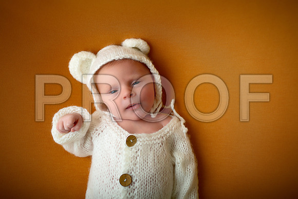 Kansas City Newborn Photographer | Award-Winning Baby Portraits