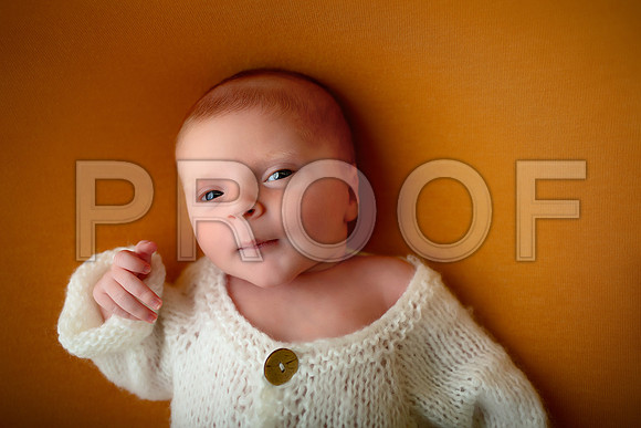Kansas City Newborn Photographer | Award-Winning Baby Portraits