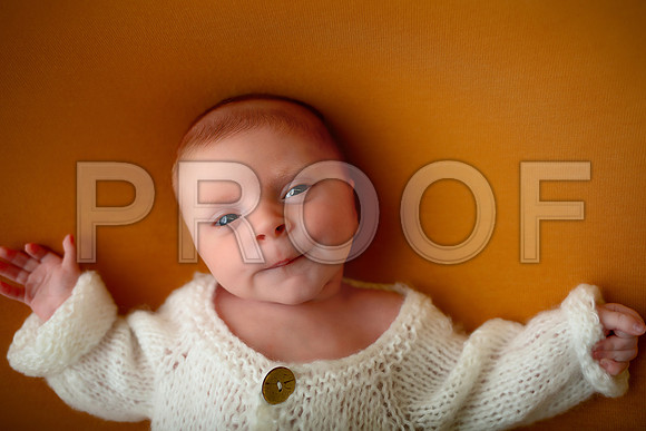 Kansas City Newborn Photographer | Award-Winning Baby Portraits