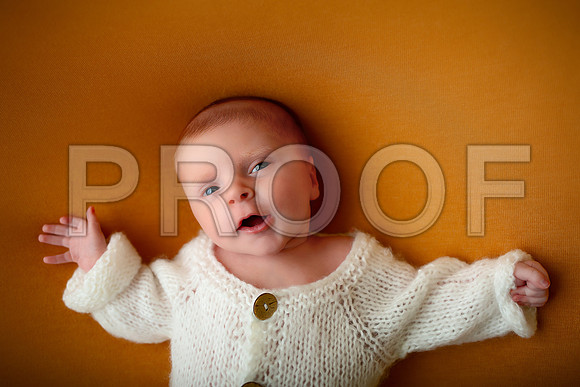 Kansas City Newborn Photographer | Award-Winning Baby Portraits
