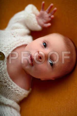 Kansas City Newborn Photographer | Award-Winning Baby Portraits
