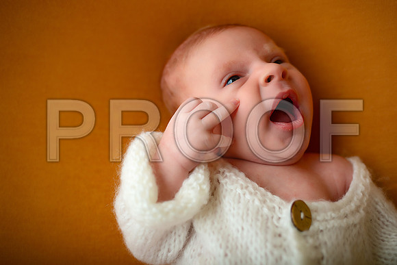 Kansas City Newborn Photographer | Award-Winning Baby Portraits