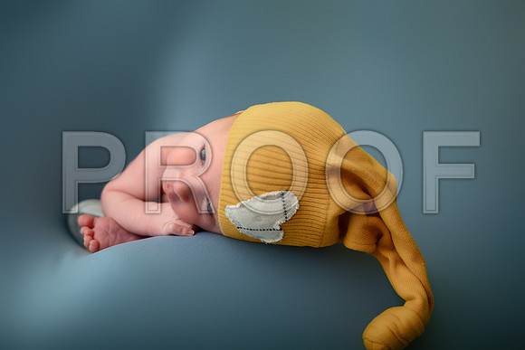 Kansas City Newborn Photographer | Award-Winning Baby Portraits