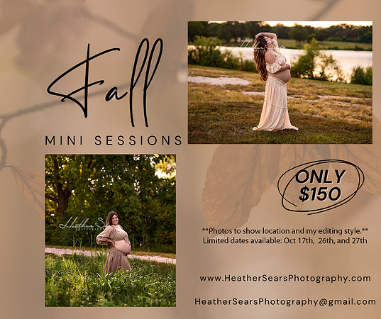 Brown Collage Fall Session Photography Facebook Post - 1