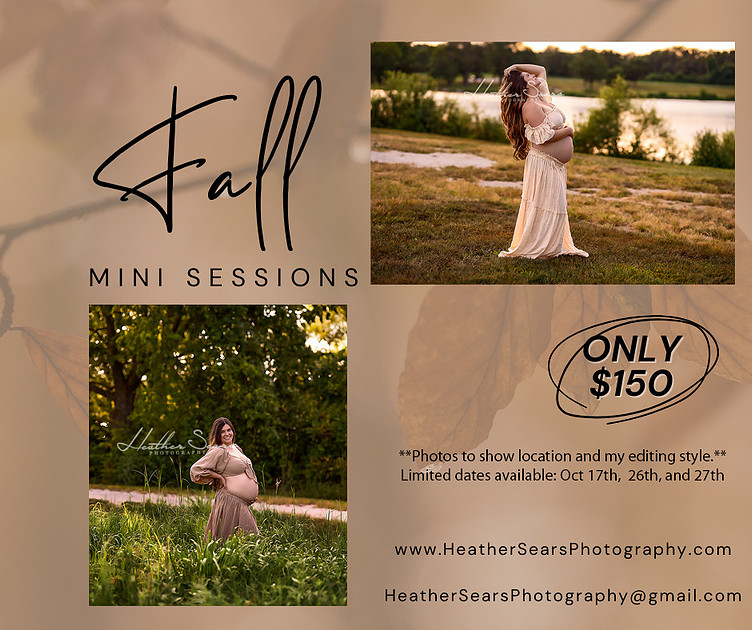 Brown Collage Fall Session Photography Facebook Post - 1