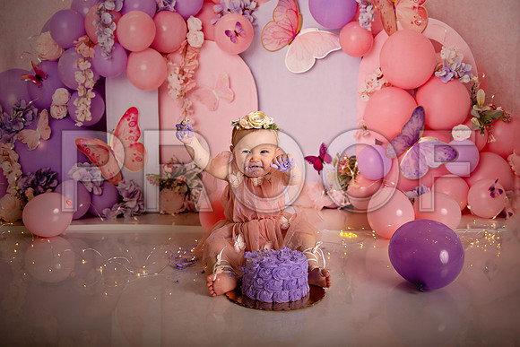 Kansas City Cake Smash Photographer | Butterfly Theme Portraits | Heather Sears Photography