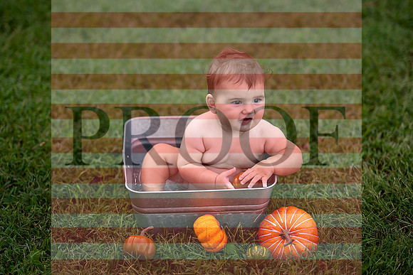 Kansas City Milestone Photographer | Osawatomie Studio Photo Session