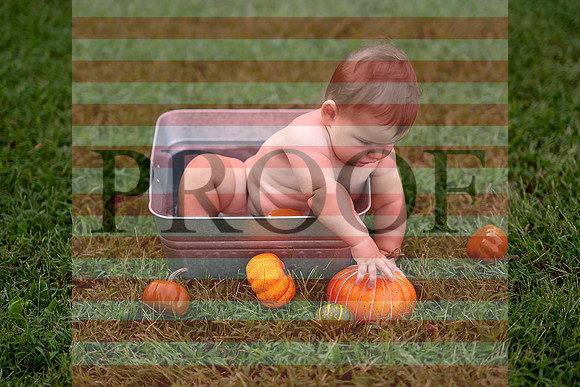 Kansas City Milestone Photographer | Osawatomie Studio Photo Session