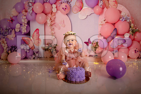 Kansas City Cake Smash Photographer | Butterfly Theme Portraits | Heather Sears Photography