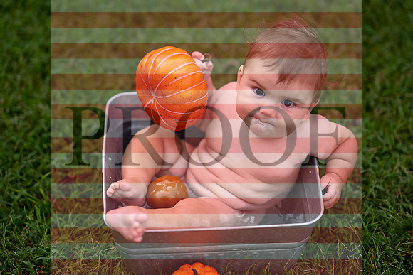 Kansas City Milestone Photographer | Osawatomie Studio Photo Session