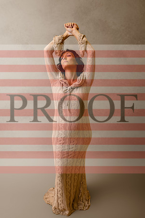 Luxury Kansas City Maternity Photographer | Couture Photo Sessions