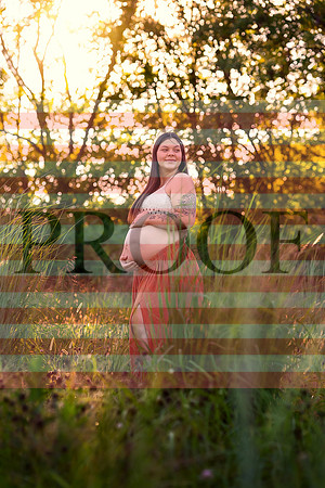 Luxury Kansas City Maternity Photographer | Couture Photo Sessions