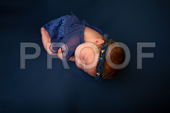 Kansas City Newborn Photographer | Award-Winning Baby Portraits