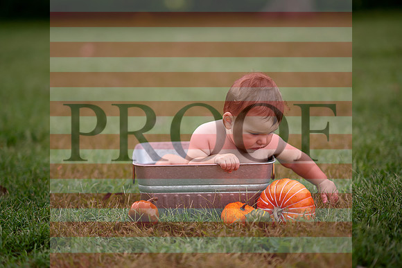 Kansas City Milestone Photographer | Osawatomie Studio Photo Session