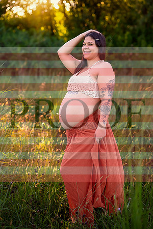 Luxury Kansas City Maternity Photographer | Couture Photo Sessions