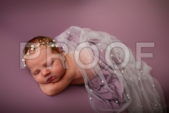 Kansas City Newborn Photographer | Award-Winning Baby Portraits