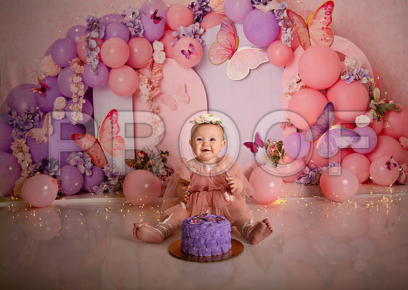 Kansas City Cake Smash Photographer | Butterfly Theme Portraits | Heather Sears Photography