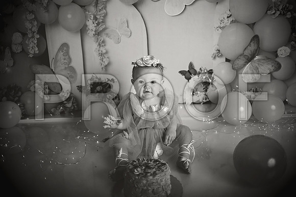 Kansas City Cake Smash Photographer | Butterfly Theme Portraits | Heather Sears Photography