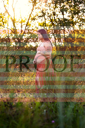 Luxury Kansas City Maternity Photographer | Couture Photo Sessions