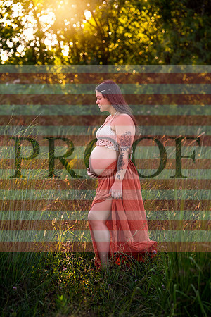 Luxury Kansas City Maternity Photographer | Couture Photo Sessions